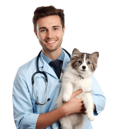 Veterinarian with pet